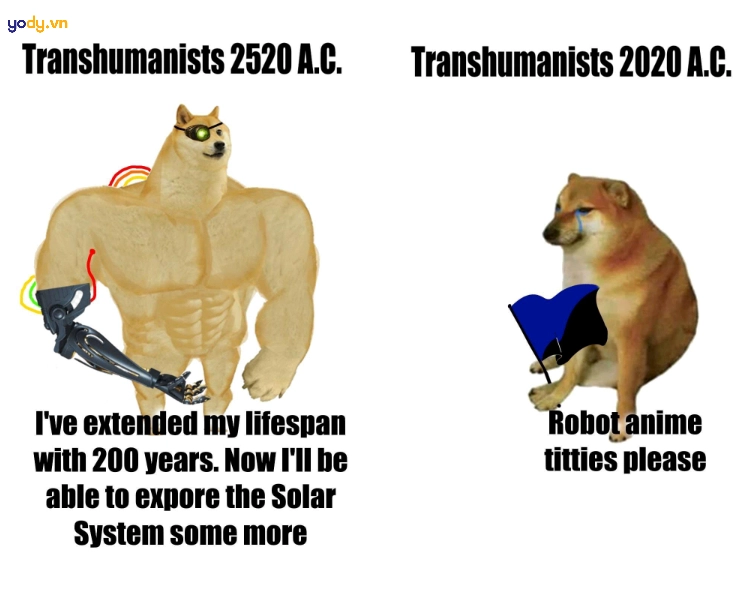 Ảnh meme Cheems vs Swole Doge buồn cười