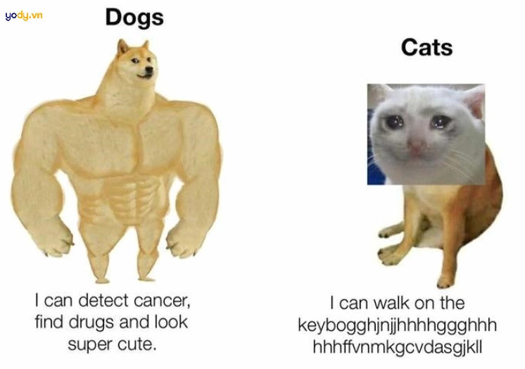 Ảnh meme Cheems vs Swole Doge cực bựa