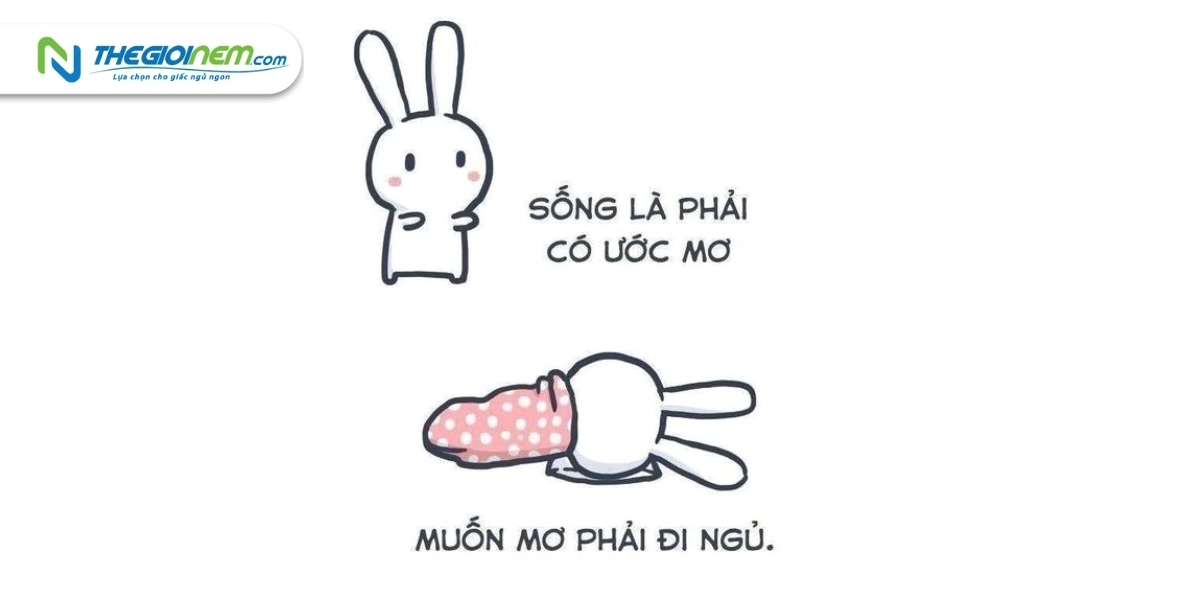 ảnh meme chúc ngủ ngon độc đáo bá đạo