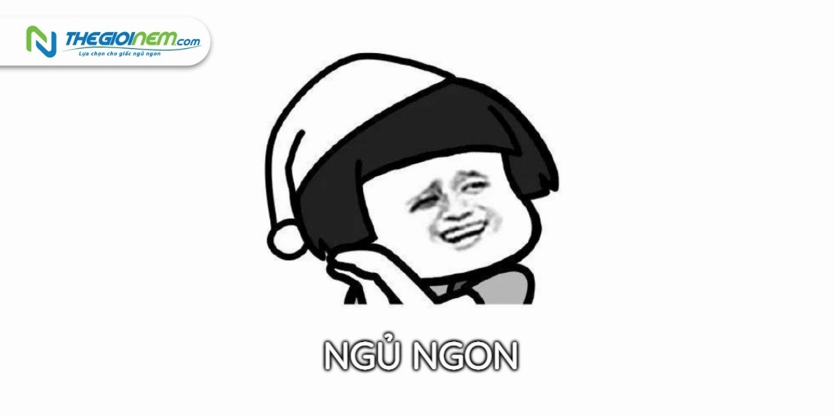 Ảnh meme chúc ngủ ngon độc đáo ngái ngủ