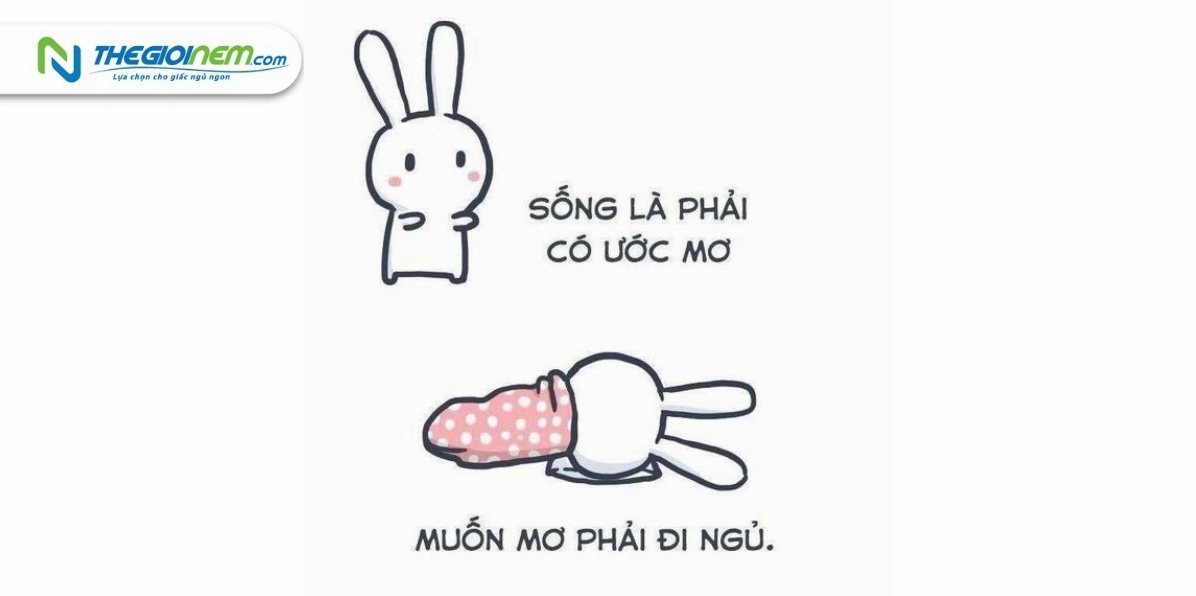 Ảnh meme chúc ngủ ngon mệt mỏi