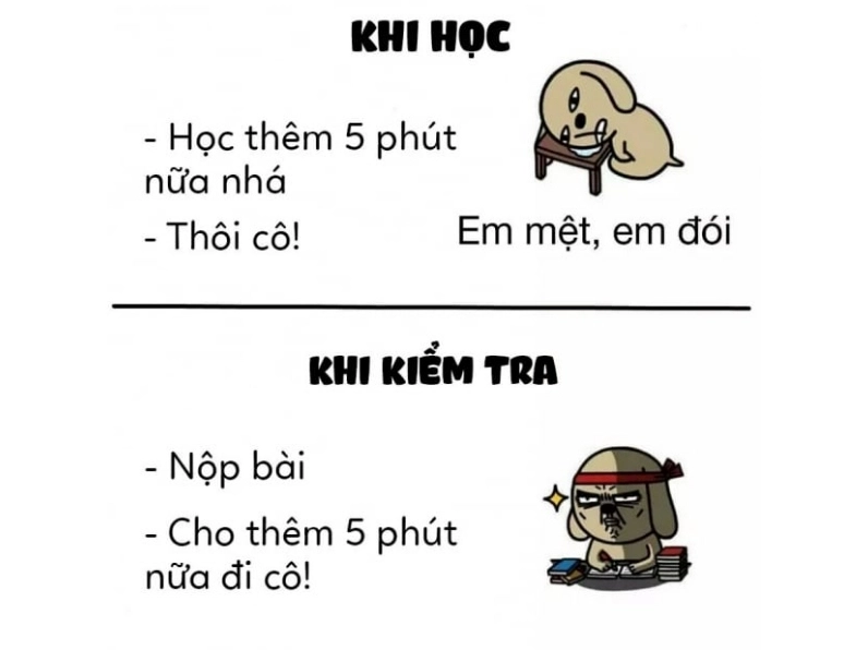 ảnh meme cute học hành thi cử
