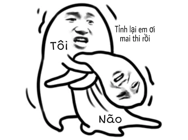 ảnh meme cute não trống rỗng trước kỳ thi