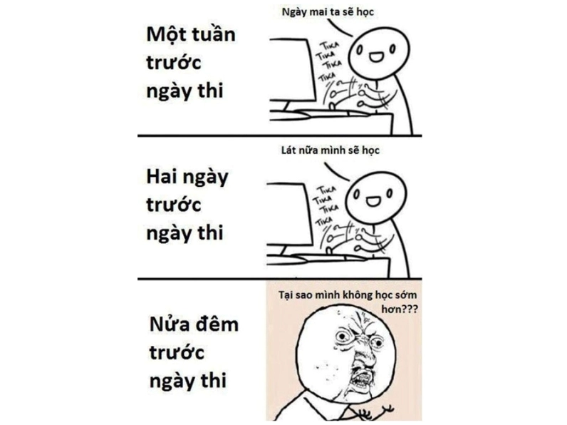 ảnh meme dễ thương hài hước mang tính giải trí cao