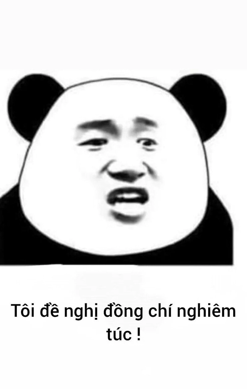 ảnh meme gấu trúc che miệng cười nham hiểm