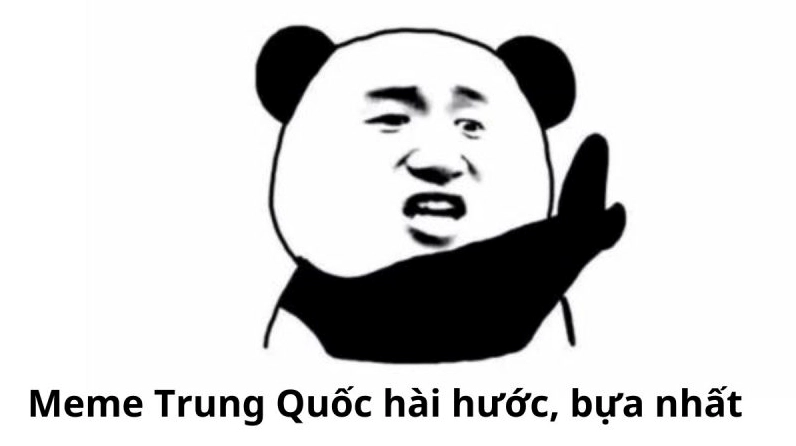 ảnh meme gấu trúc hoảng loạn