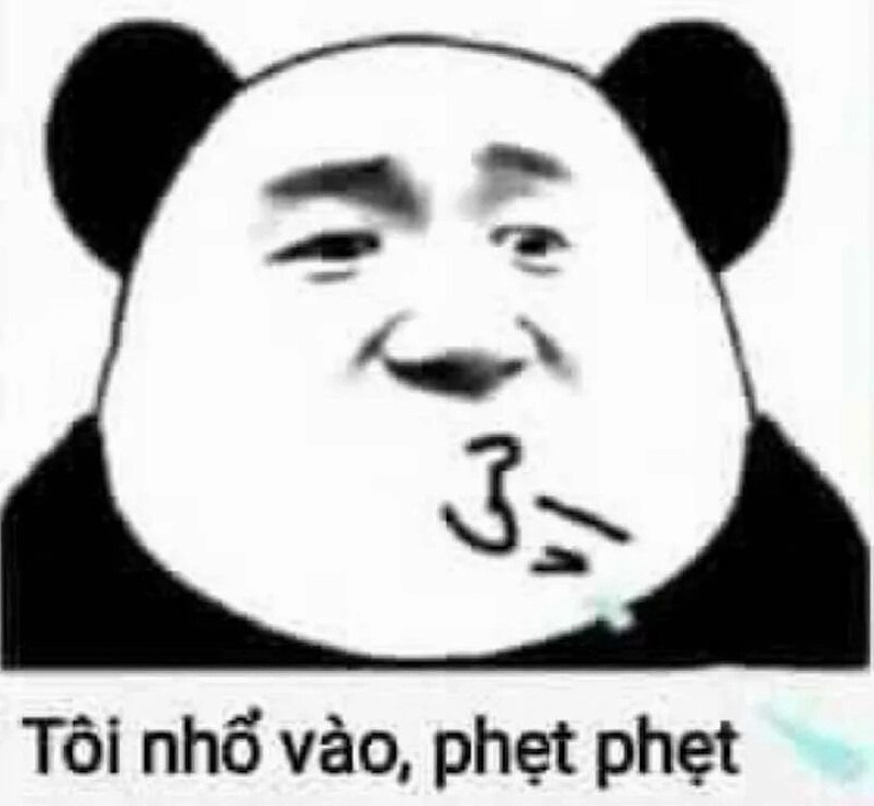ảnh meme gấu trúc khóc nức nở ôm mặt