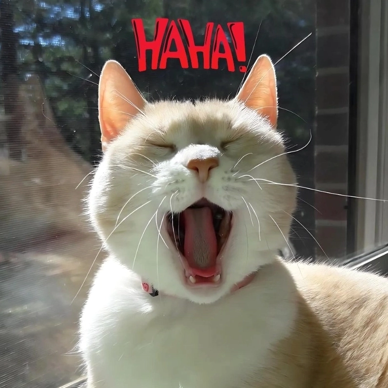 Ảnh meme há mồm khiến bạn không thể ngừng cười với những tình huống hài hước