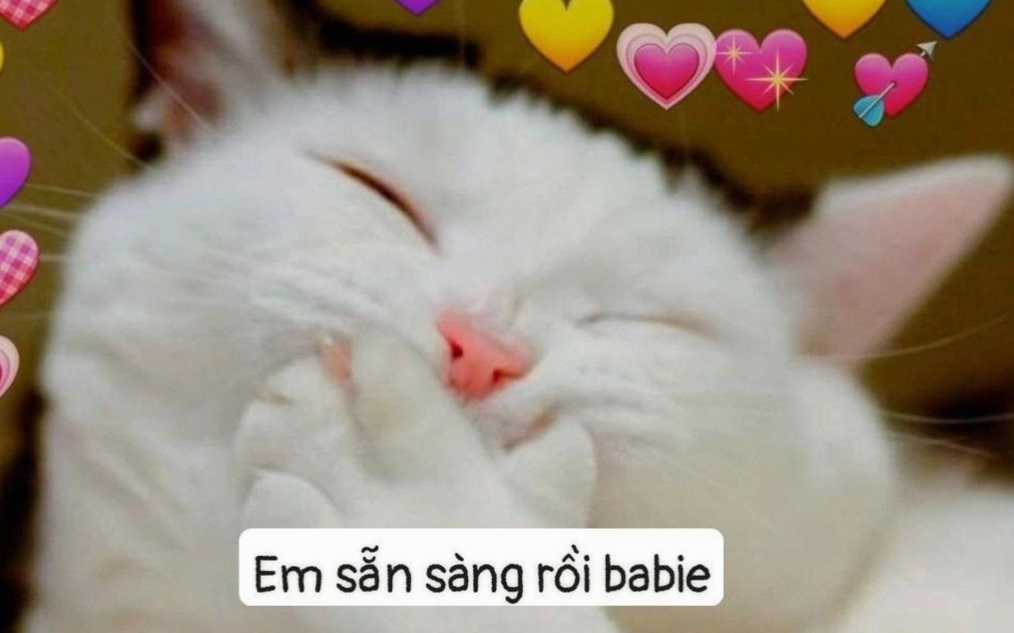 ảnh meme hài hước nhún vai