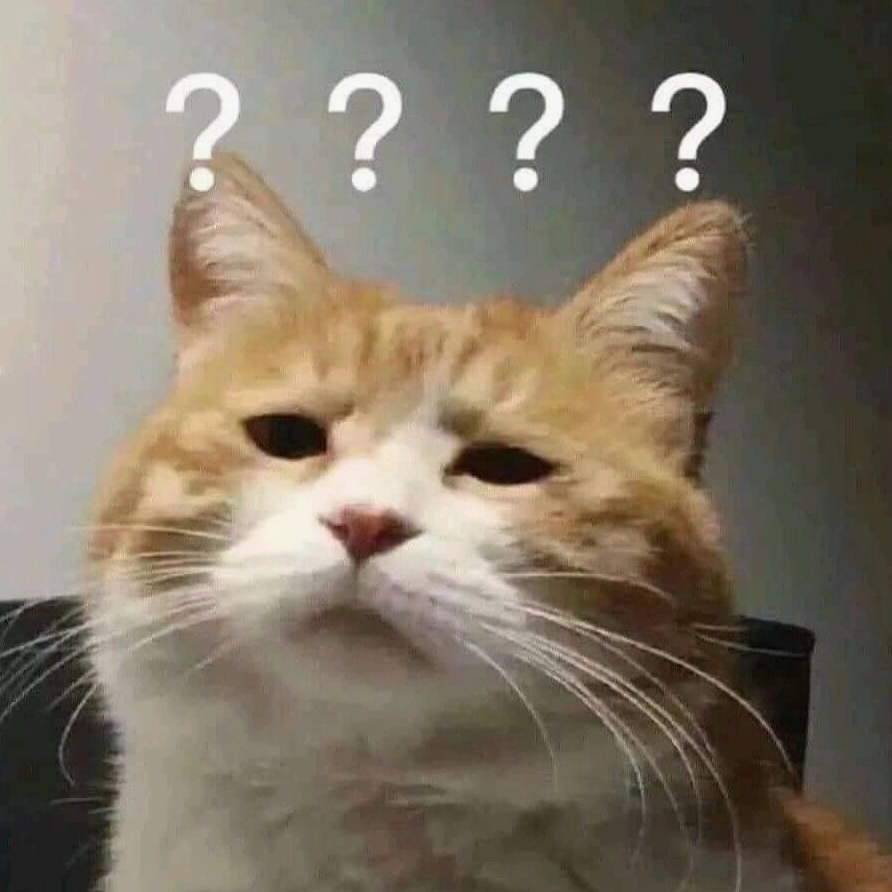 ảnh meme mèo ngủ ngáp dài chán nản