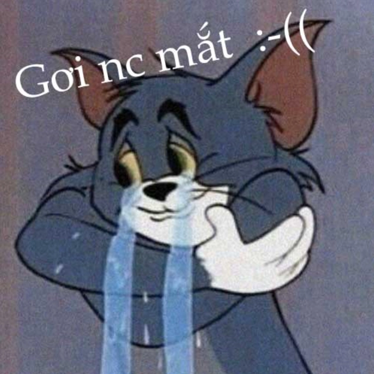 Ảnh meme mèo Tôm cảm động