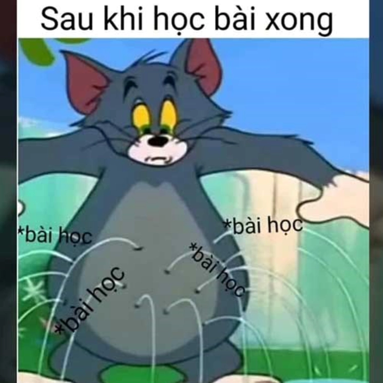 Ảnh meme mèo Tôm độc đáo