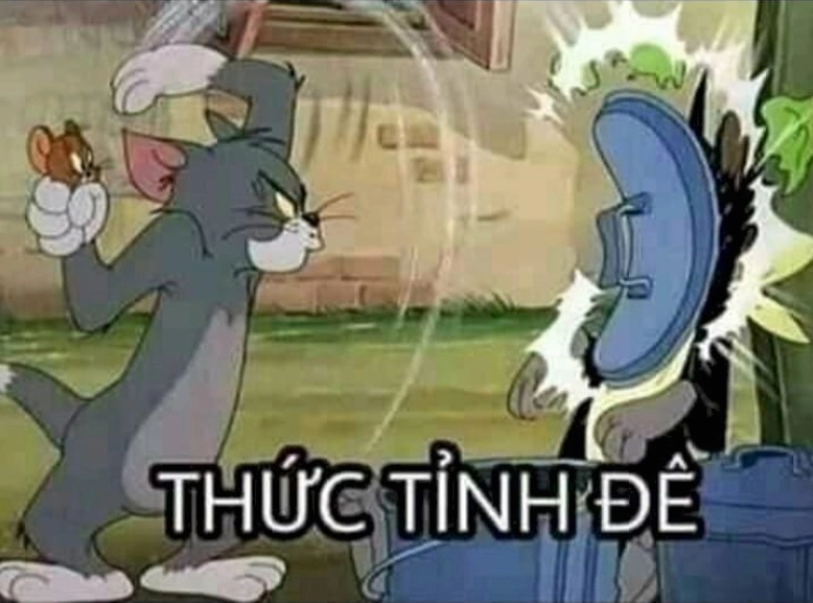 Ảnh meme mèo Tôm hài hước