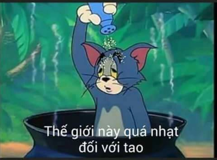 Ảnh meme mèo Tôm mặn