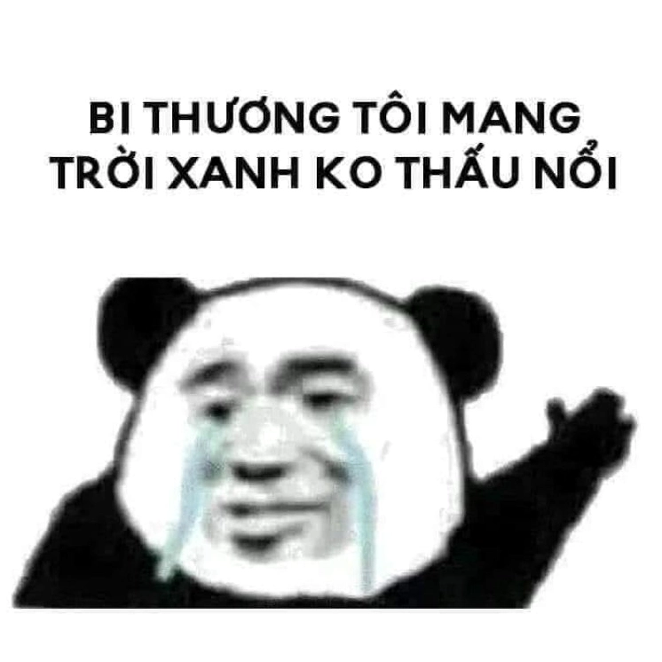 ảnh meme trung quốc bật chế độ u mê