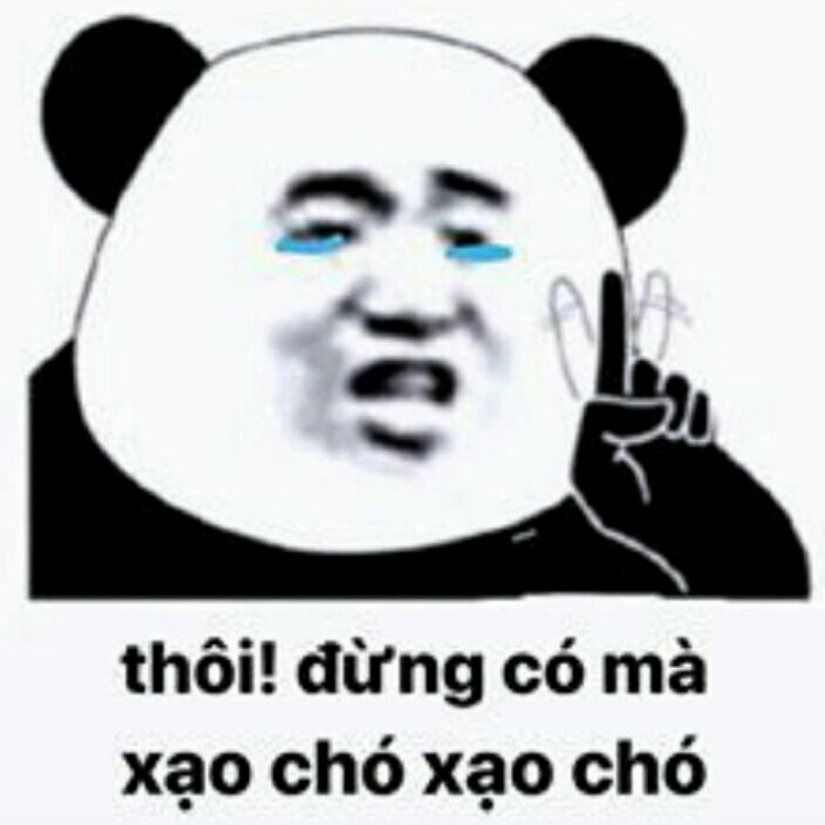 ảnh meme trung quốc gấu biểu cảm khó đỡ