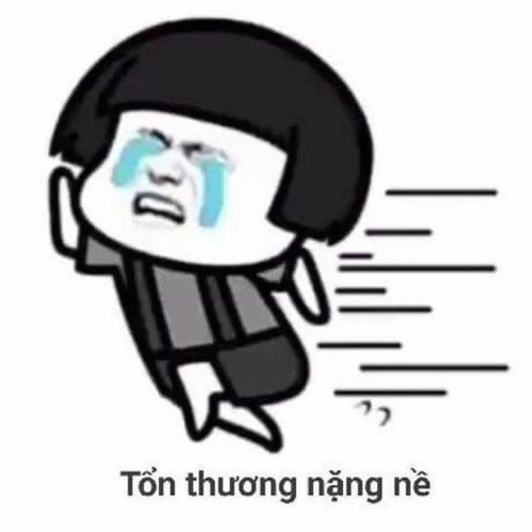 ảnh meme trung quốc gấu tấu hài
