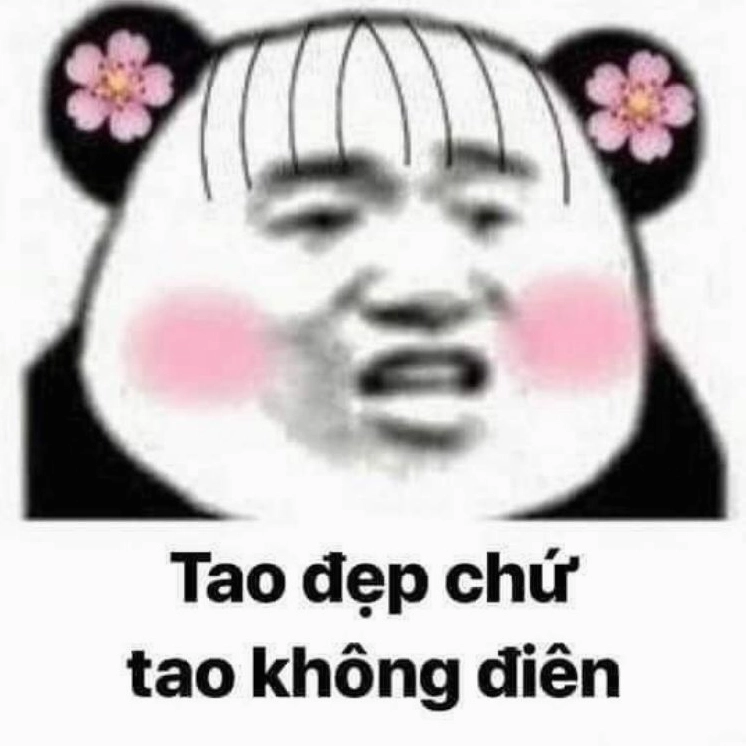ảnh meme trung quốc tao đẹp chứ tao không điên