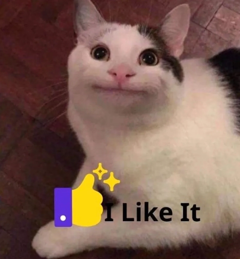 ảnh mèo like meme gây bão