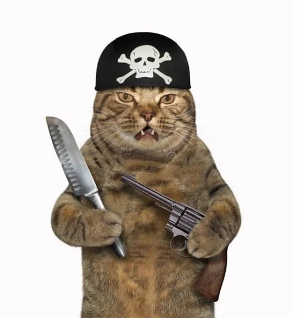 Ảnh mèo ngầu cầm dao meme
