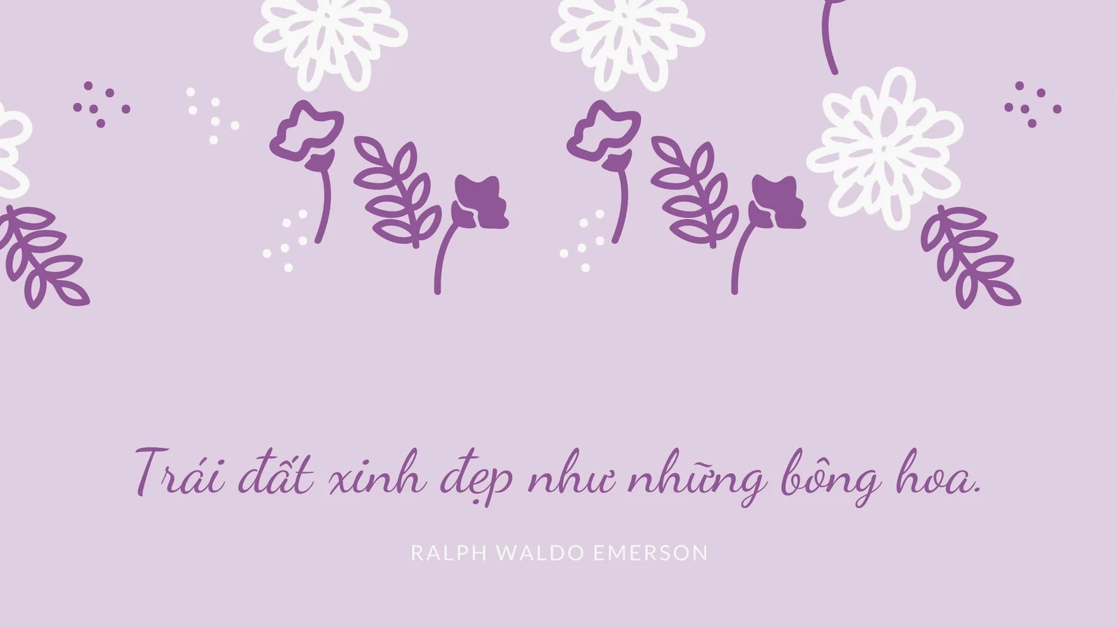 Ảnh nền hoa mùa xuân màu tím nhẹ nhàng lãng mạn vô cùng sắc nét cho màn hình lớn