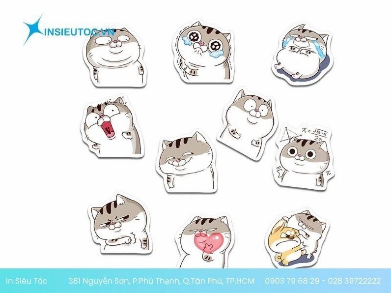 Ảnh sticker meme mèo béo Ami đáng yêu