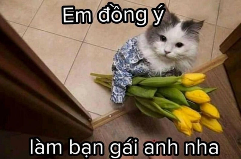 ảnh tâm trạng thất tình