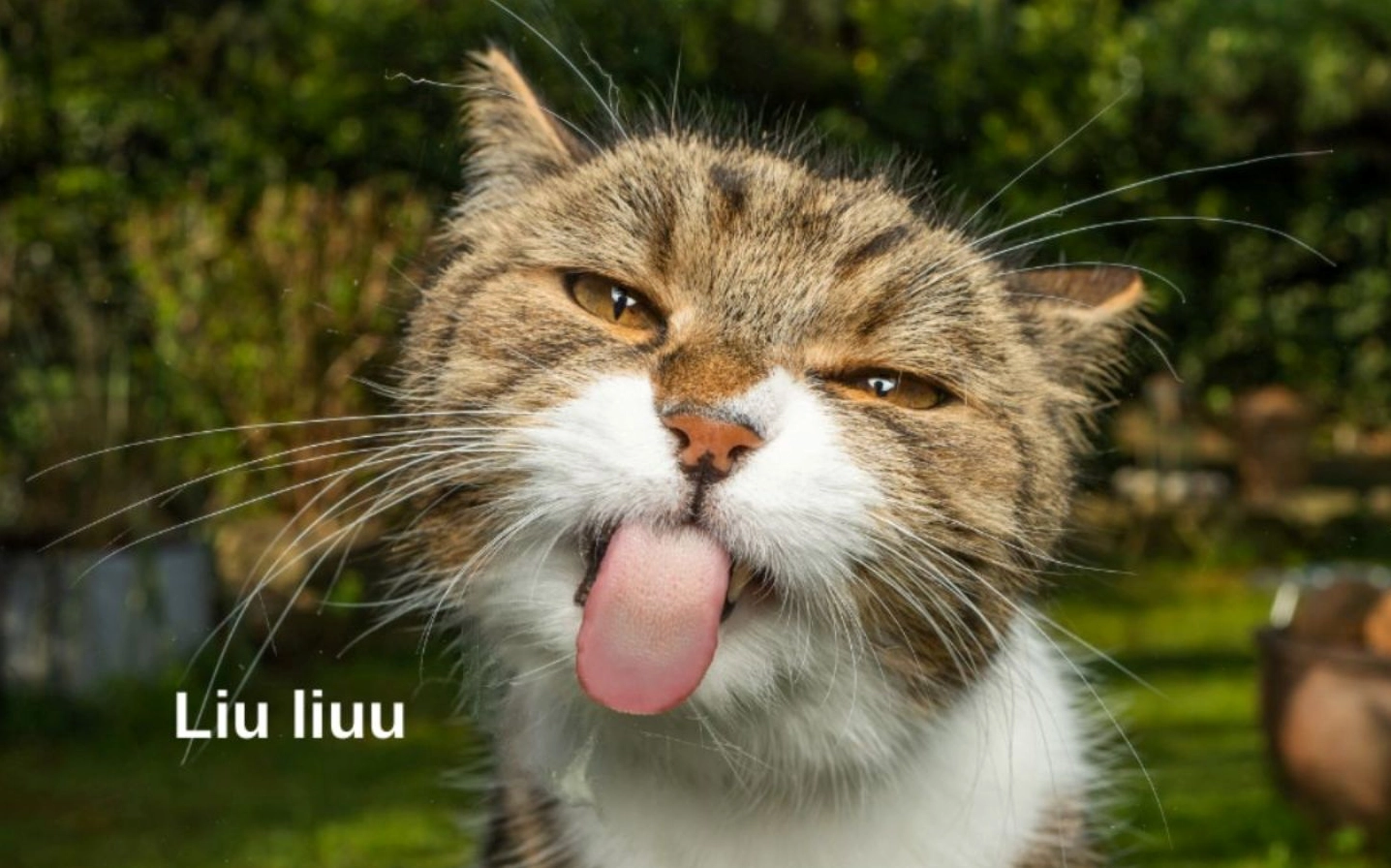 ảnh troll hài hước chỉ tay