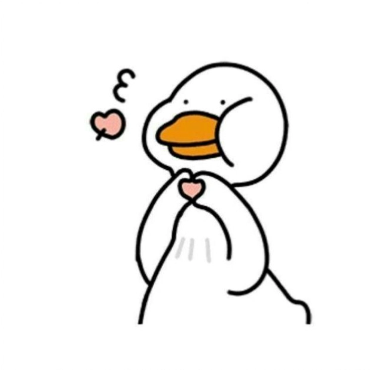 Ảnh vịt meme trắng bắn tim cute