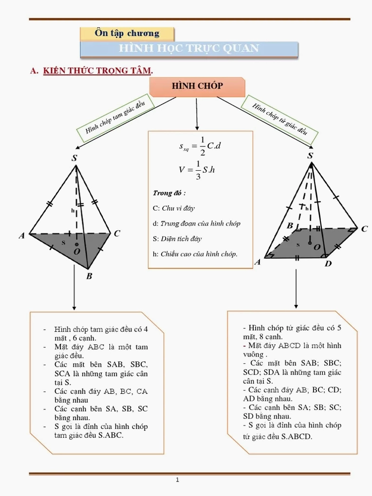 Bài tập minh họa chậu cây có dạng hình chóp tam giác đều