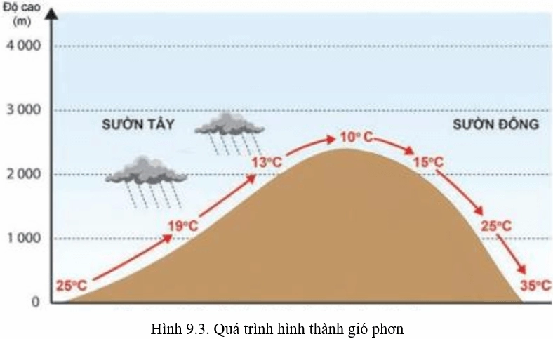 Bài tập yêu cầu trình bày hiện tượng phơn và nguyên nhân hình thành
