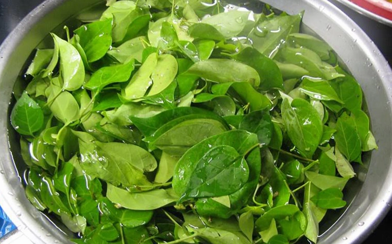 Bài thuốc chữa bệnh từ lá giang