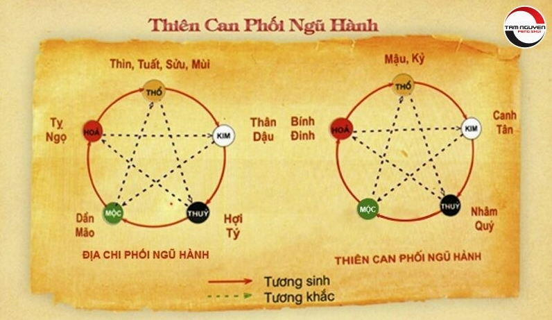 Bảng phân loại các năm sinh mang Thiên can Nhâm