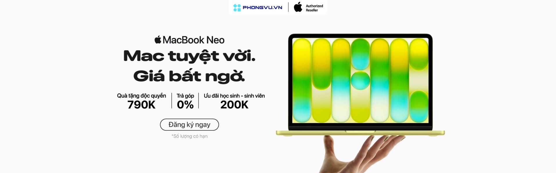 Banner ngang capybara