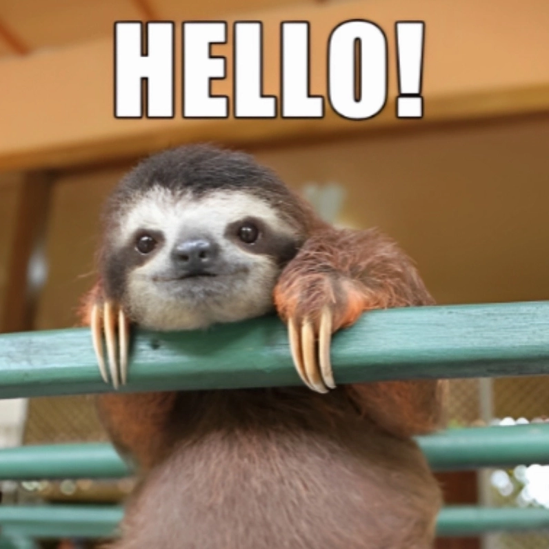 Bắt trend cực nhanh với hello memes siêu hài hước