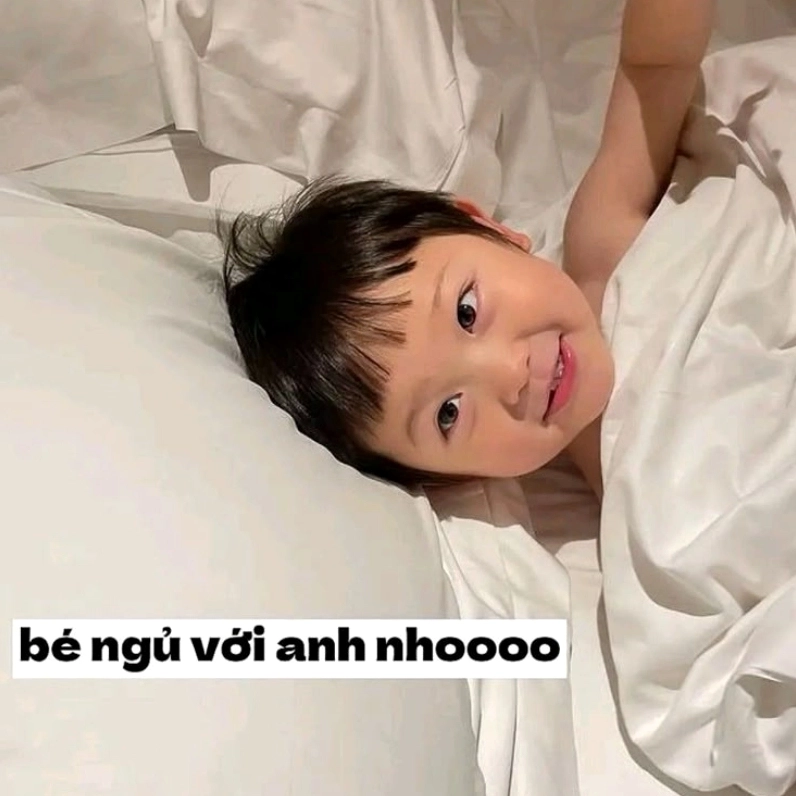 bộ chế meme hình ngủ độc đáo cười nghiêng ngả