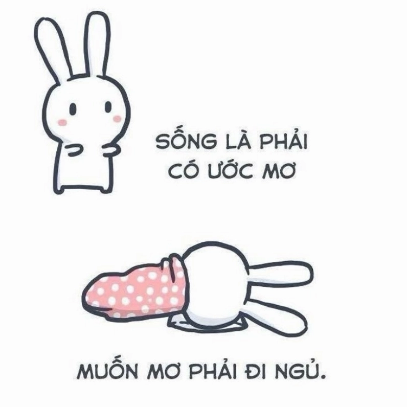 bộ meme ngủ mơ hài hước bá đạo