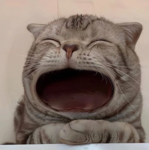 Bộ sưu tập ảnh meme há miệng khiến dân mạng rụng rời