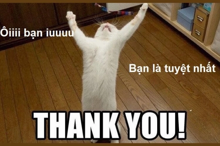 Bộ sưu tập meme cảm ơn phổ biến nhất sử dụng năm 2026