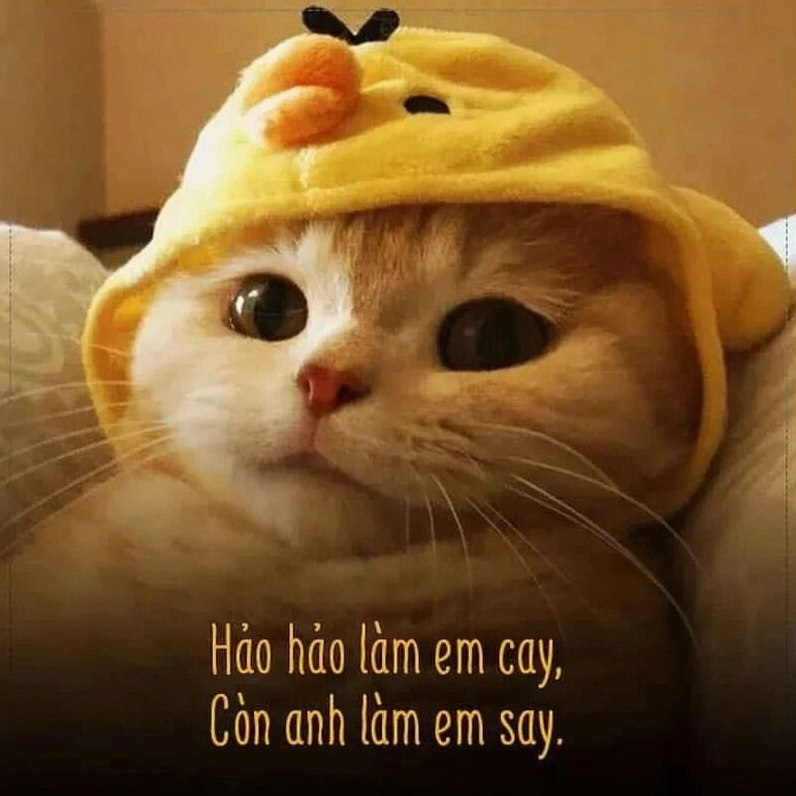 buồn vì tình yêu