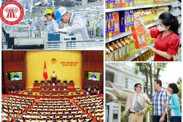 Các chủ thể kinh tế và vai trò trong nền kinh tế