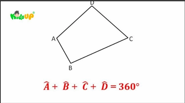 Các đặc điểm nhận diện của hình tứ giác