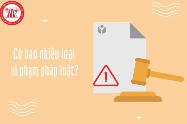 Các loại vi phạm pháp luật và trách nhiệm pháp lý
