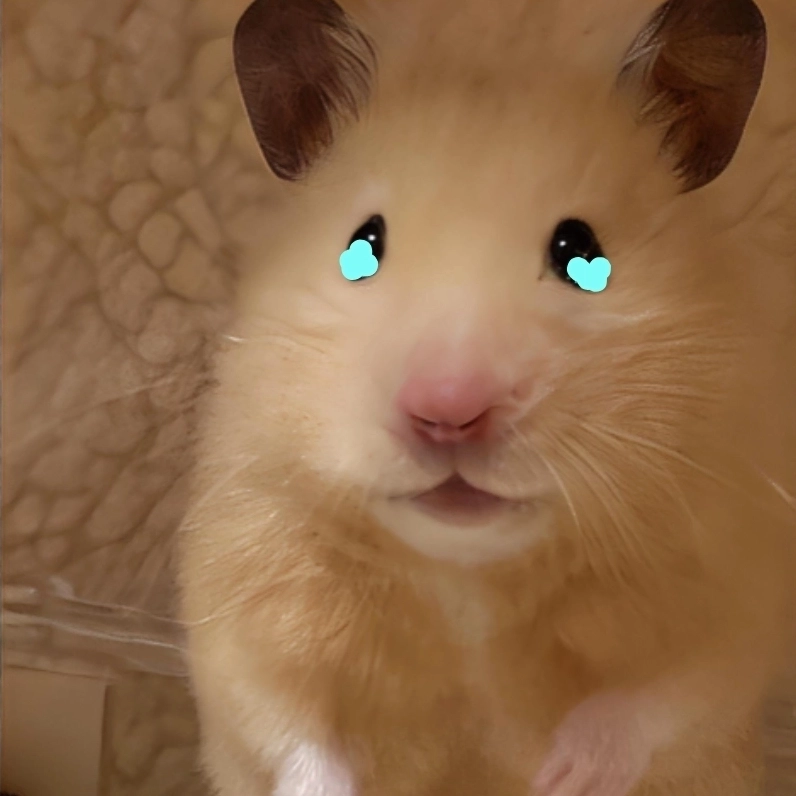 Cảm xúc vỡ òa trong meme chuột hamster khóc cực cảm động