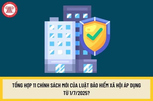 Cập nhật chính sách pháp luật mới