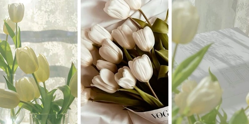Cập nhật mẫu hình nền điện thoại hoa tulip trắng mang phong cách hiện đại và tối giản nhất