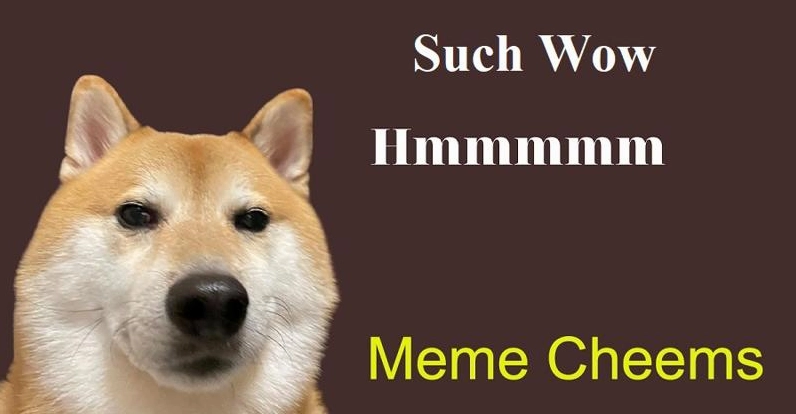 Cheems với nền chung Such Wow