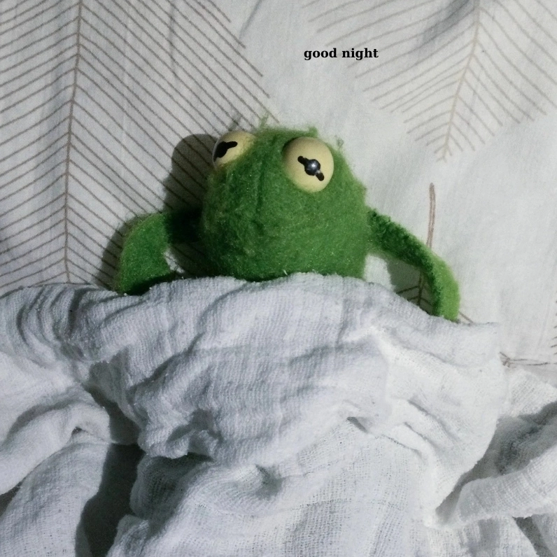 chiếc ếch xanh meme ngủ dễ thương cho hội mê động vật