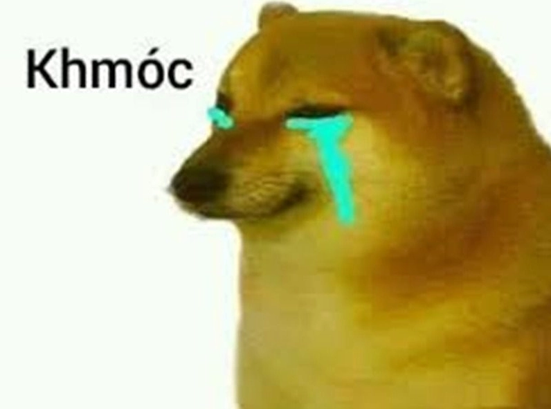 Chó đang rơm rớm nước mắt tội nghiệp