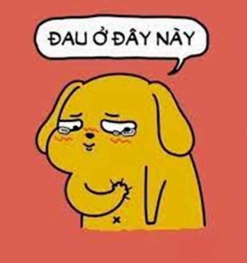 Chó meme cười tủm tỉm siêu đáng yêu